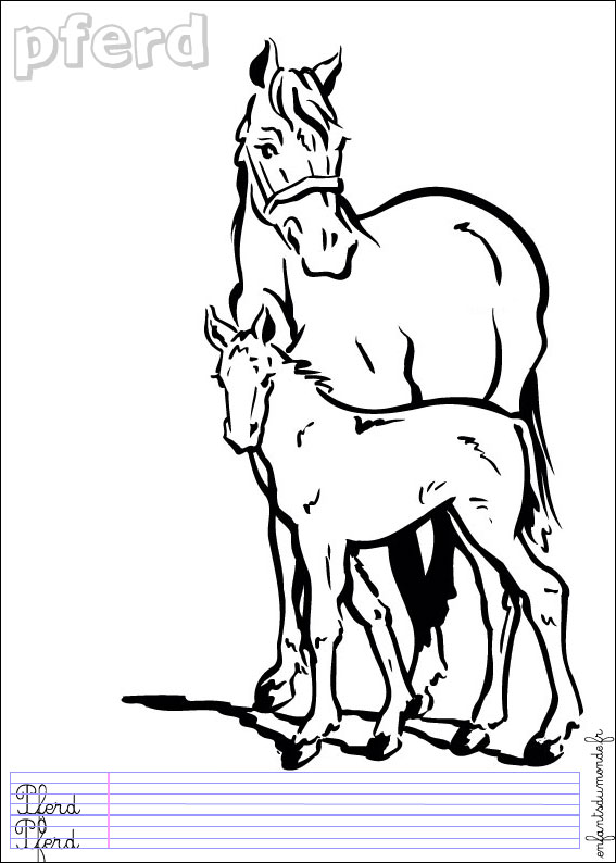 coloriage cheval 3